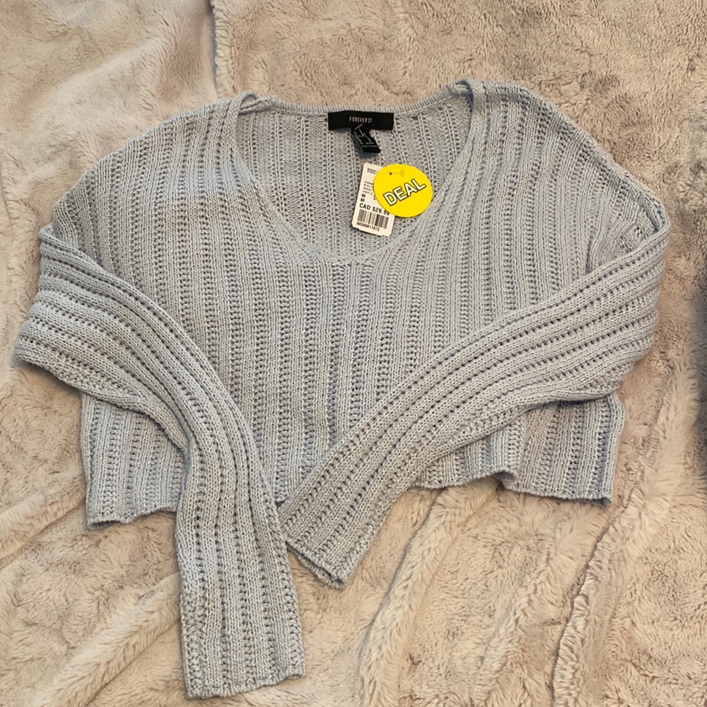 Blue Cropped Knit Sweater